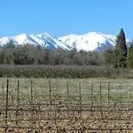 Caruso - Authenticite - Piscine - Climatisation - Vignes