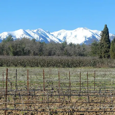 Caruso - Authenticité - Piscine - Climatisation - Vignes